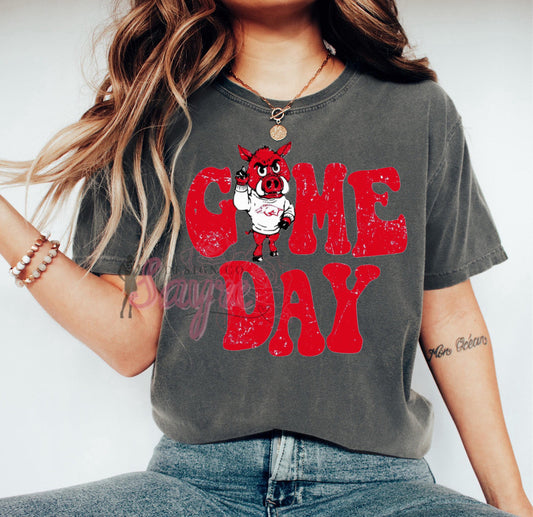 Red Distressed Game Day Shirt/Long Sleeve/Crewneck/Hood