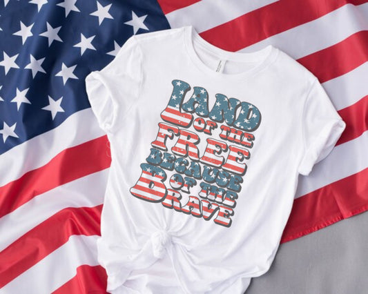 Vintage Land of the Free- Baby-Youth